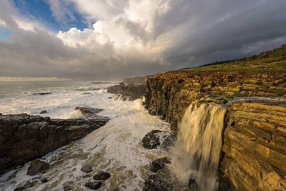 NoCal Coast
