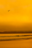 Soaring