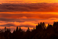 Heavenly Fog