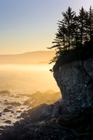 North Coast Feel