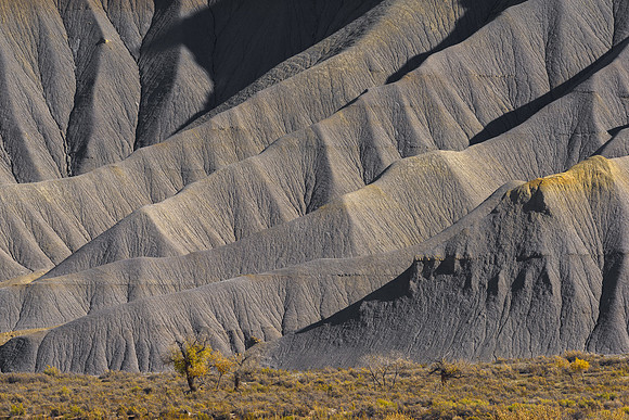 Slopes of Gold