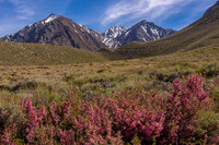 McGee Canyon