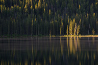Morning Calm