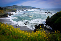 Sonoma Coast Color