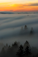 Path of Obscurity