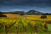 Alexander Valley