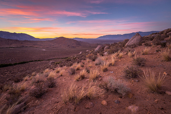 High Desert Tranquility
