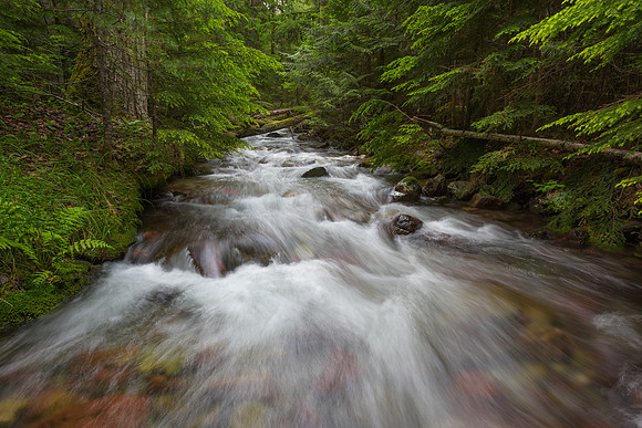 Sprague Creek