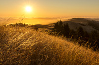 Golden West Ridgecrest