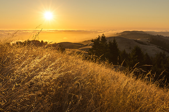 Golden West Ridgecrest
