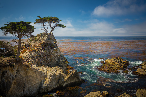 Lone Cypress-Pebble Beach