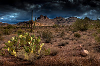 Darkening Desert