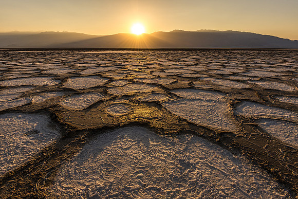 Amoeba Sunset