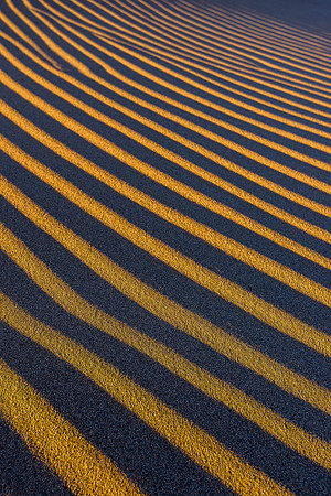 Golden Lines
