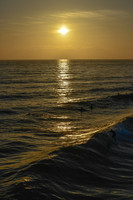 Oceanside Living