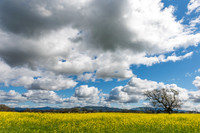 Spring Is In The Air