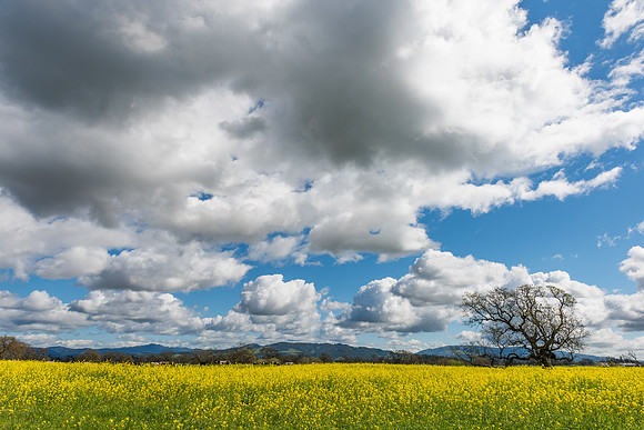 Spring Is In The Air