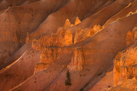 Glow of Bryce