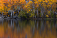 Breathe of Tranquility