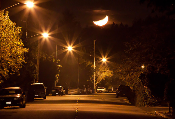 Neighborhood Splendor