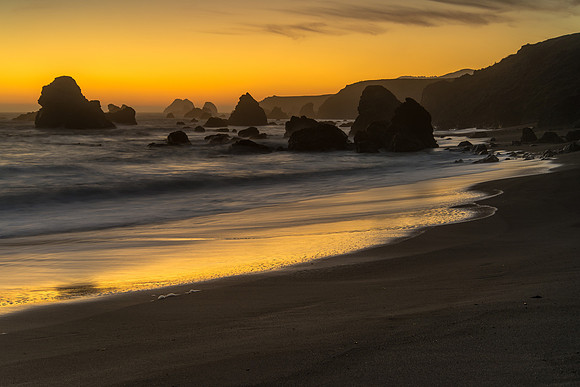 Golden Glow