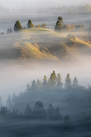 California Landscape