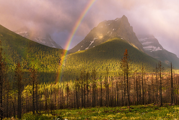 Glacier Spectrum