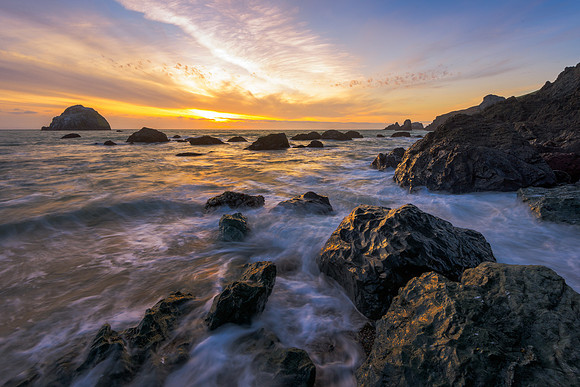 Coastal Calling